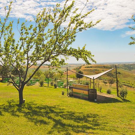 タルクイーニア Casale Poggio Nebbiaヴィラ エクステリア 写真