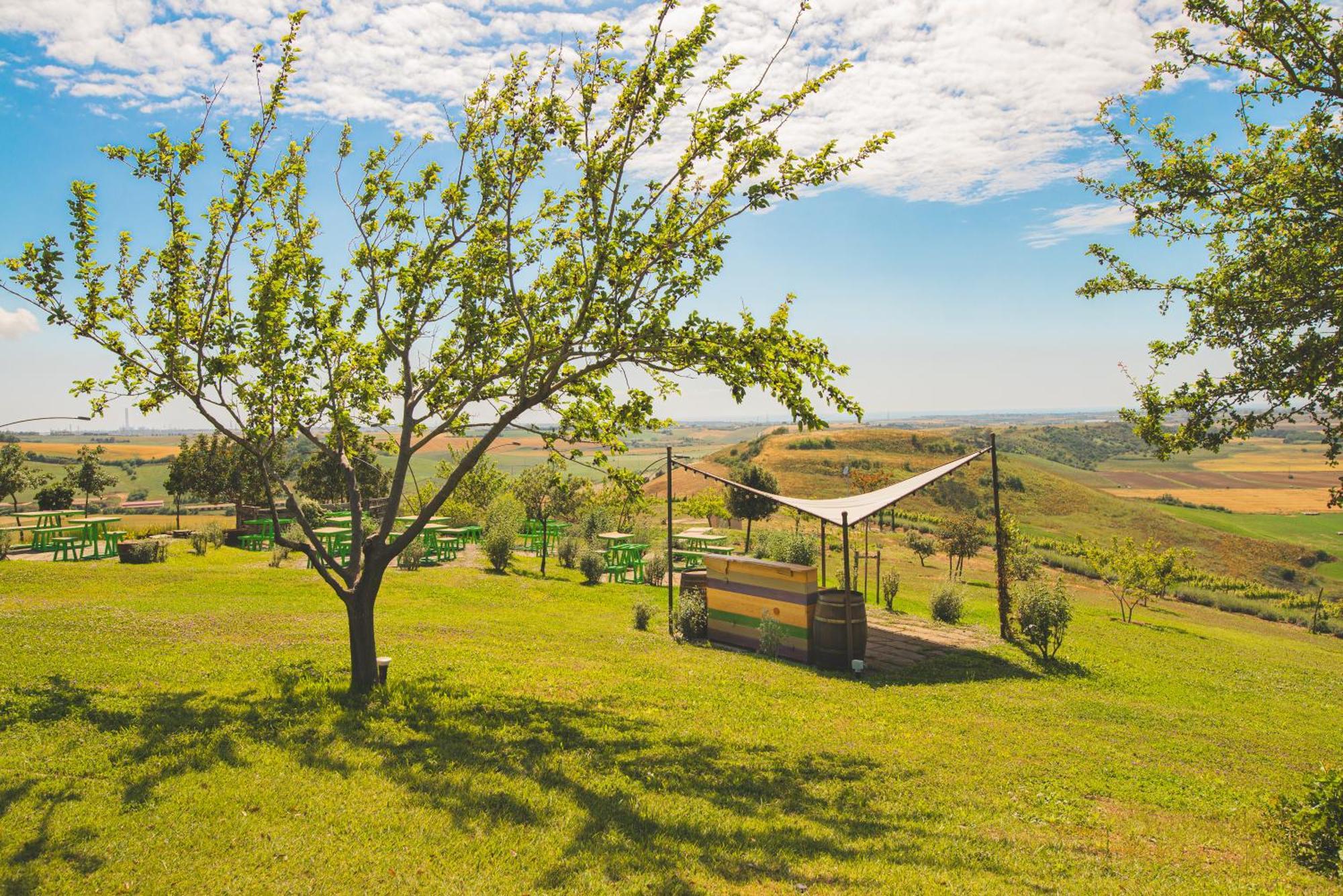 タルクイーニア Casale Poggio Nebbiaヴィラ エクステリア 写真