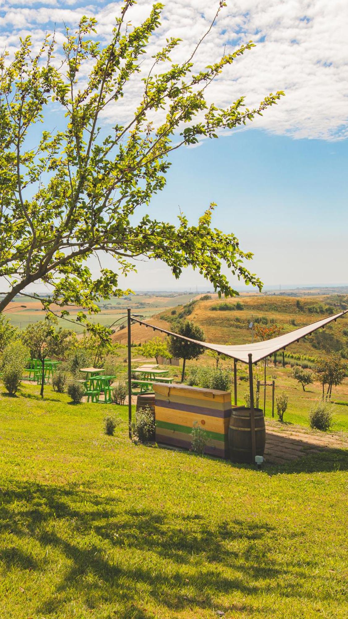 タルクイーニア Casale Poggio Nebbiaヴィラ エクステリア 写真